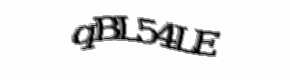 Security check image, please type the characters shown